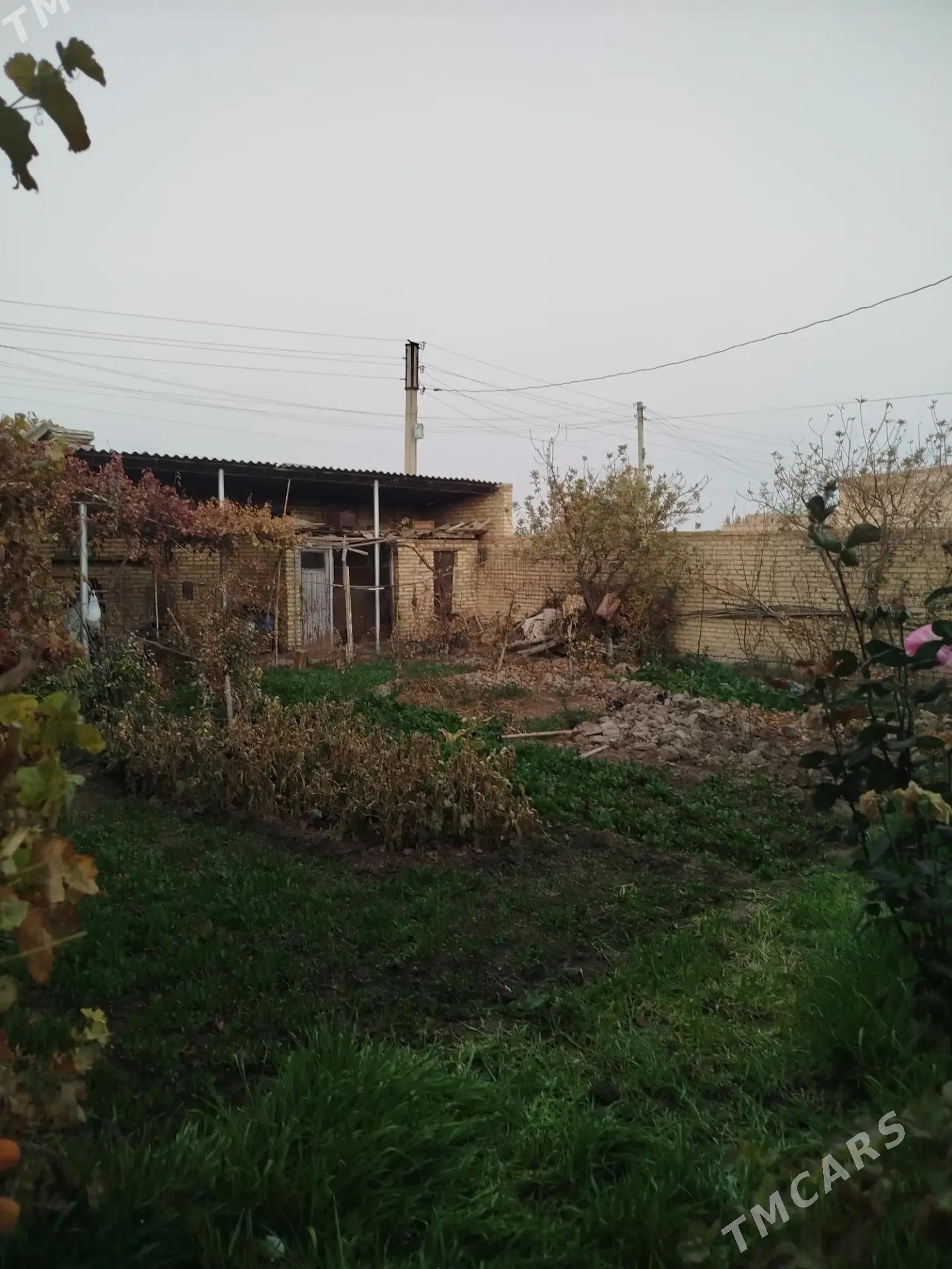 продается дача - Türkmenabat - img 8