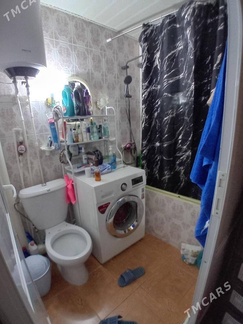   Satlyk jay - Mary - img 5