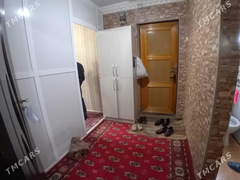   Satlyk jay - Mary - img 6