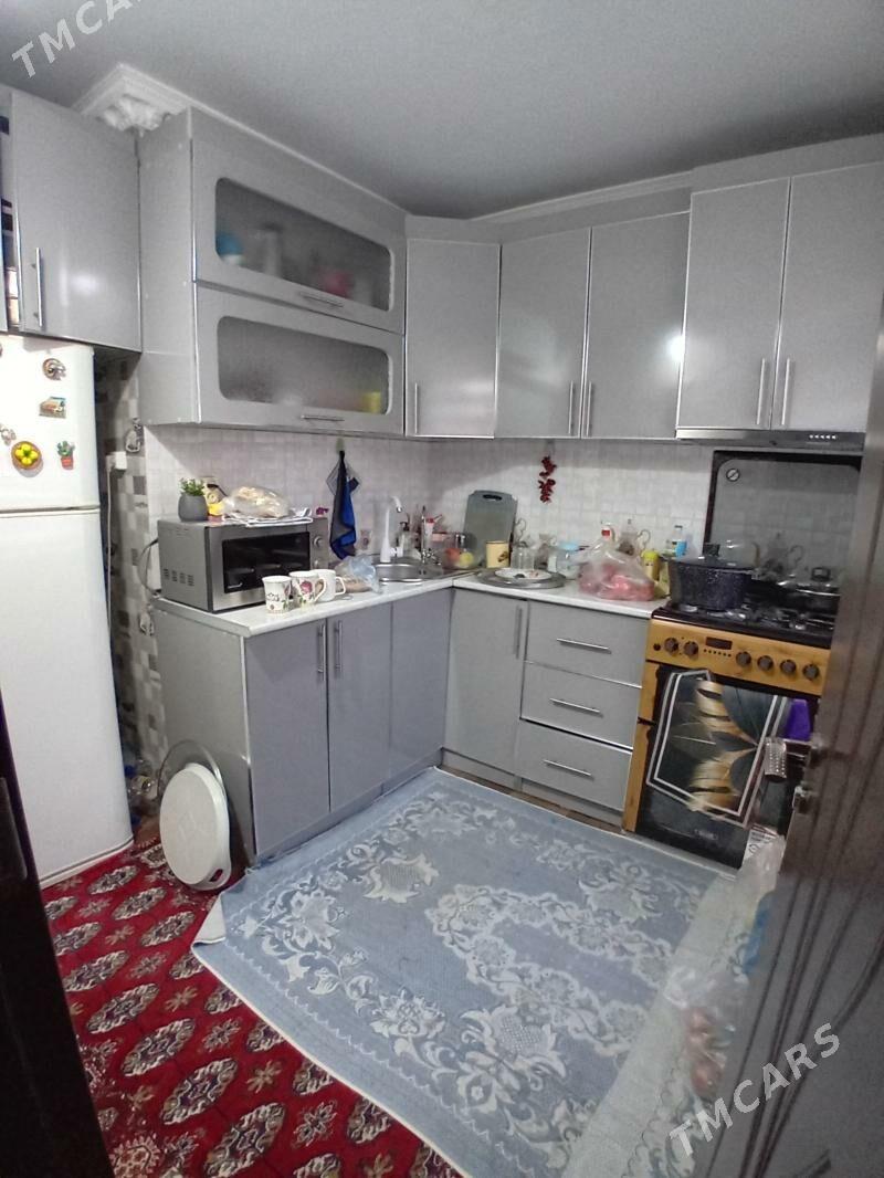   Satlyk jay - Mary - img 4