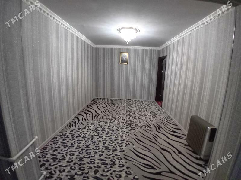   Satlyk jay - Mary - img 2