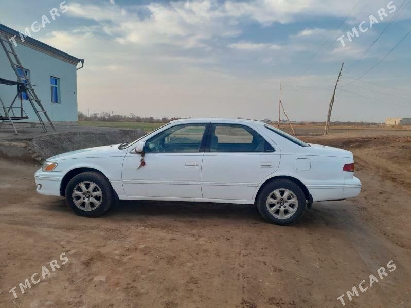 Toyota Camry 2000 - 128 000 TMT - Гороглы (Тагта) - img 4