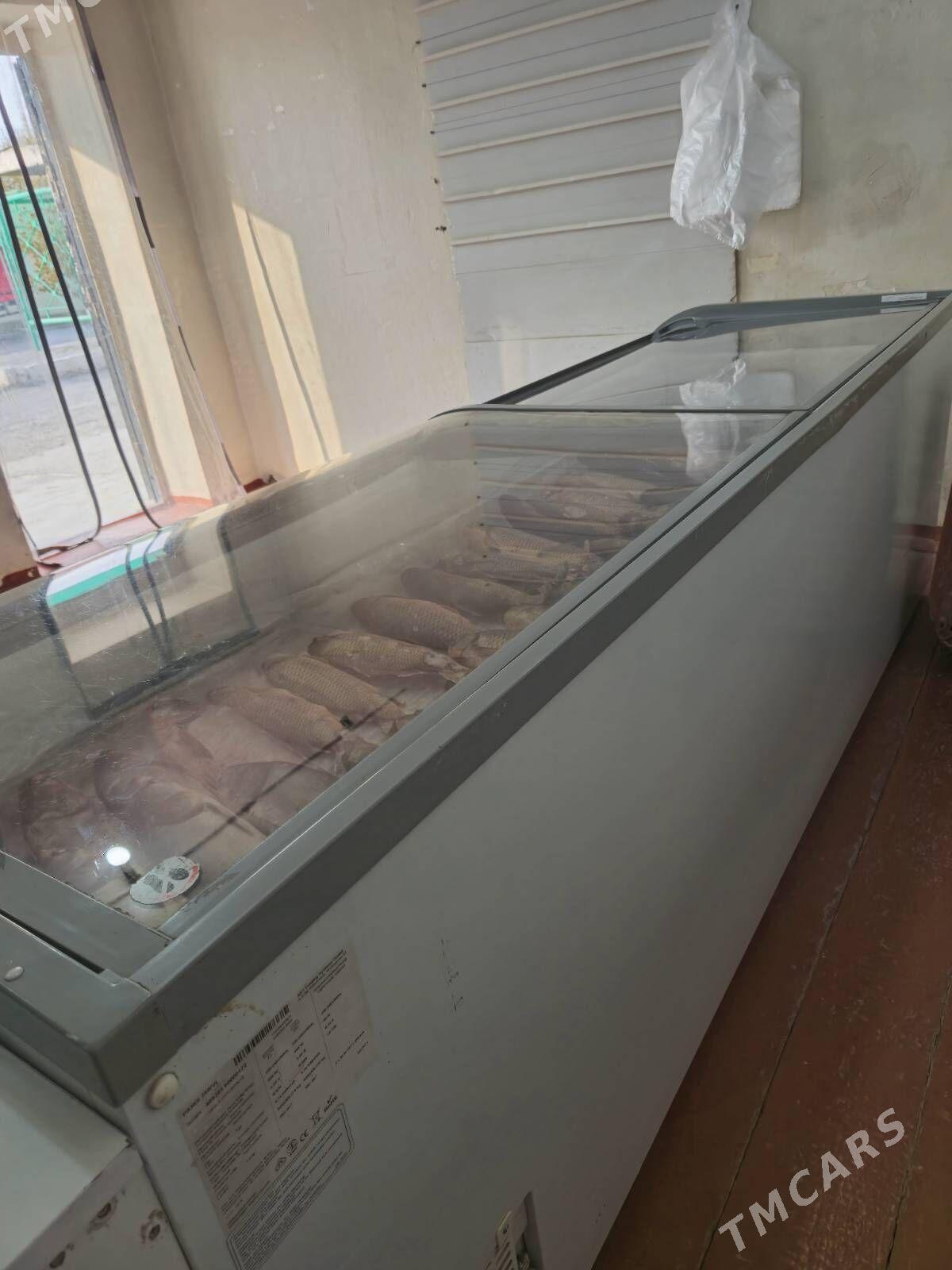 Wetrina Morazilnik - Анев - img 4