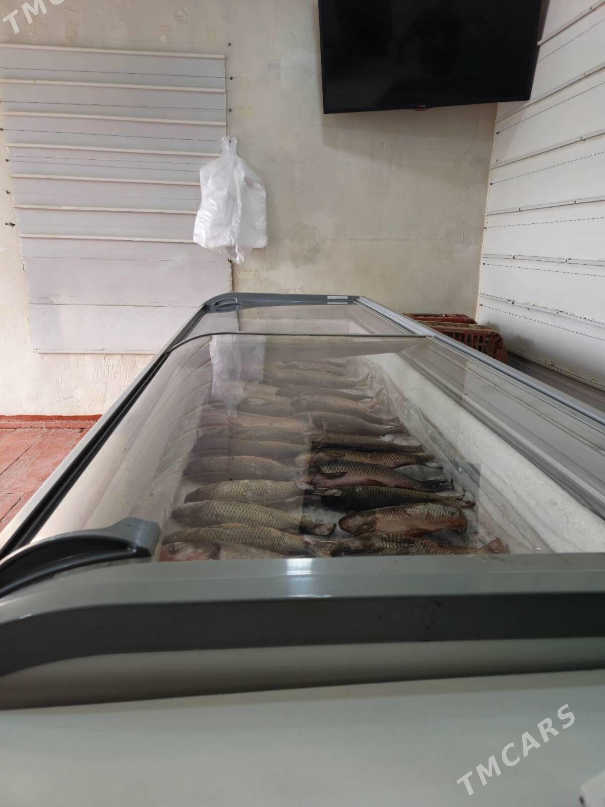 Wetrina Morazilnik - Анев - img 3