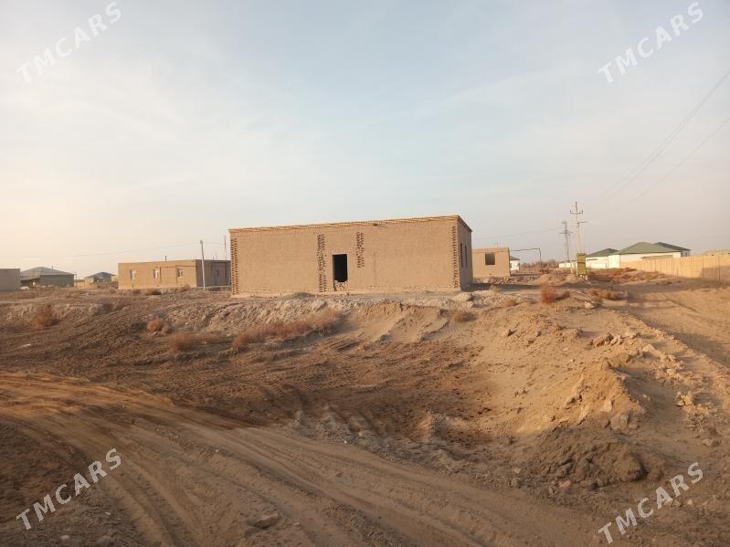 satlyk jaÿ - Daşoguz - img 2