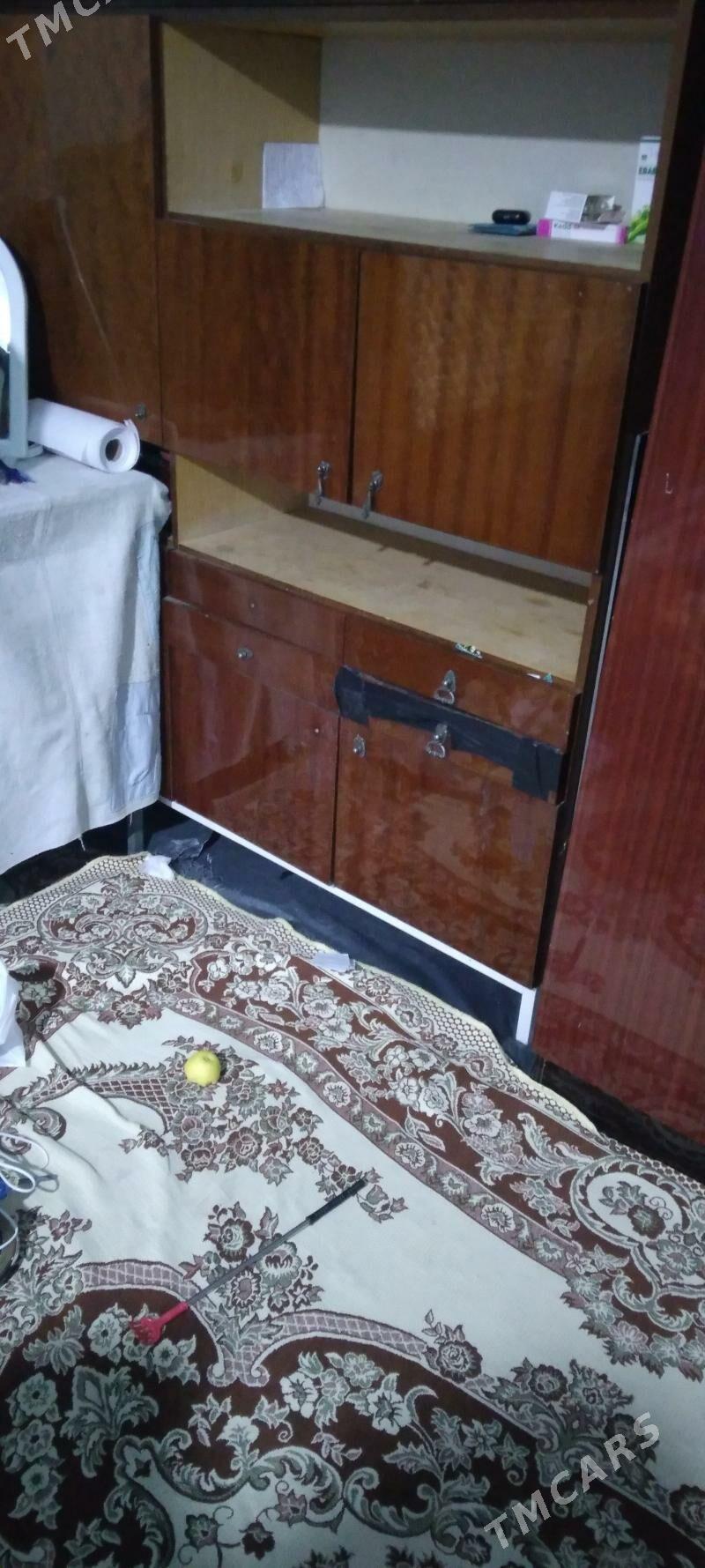 Sfaner kici - Änew - img 2