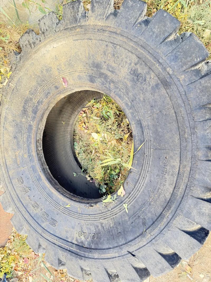 xcmg 5 000 TMT - Ашхабад - img 8