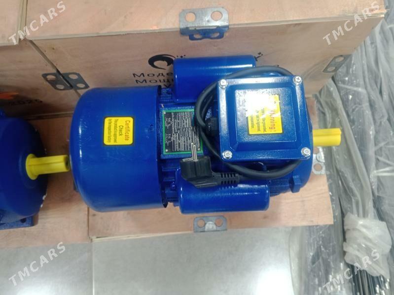 mayor - Ашхабад - img 2