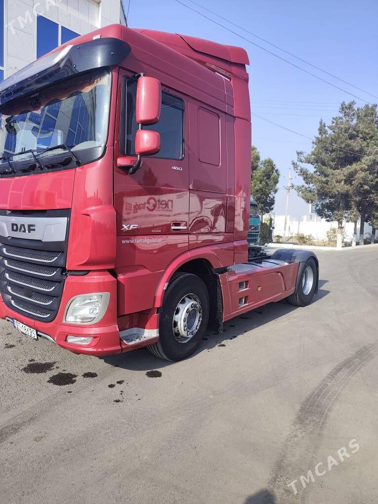 DAF 480 2020 - 795 003 TMT - Mary - img 3