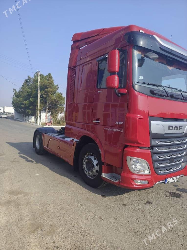 DAF 480 2020 - 795 003 TMT - Mary - img 2