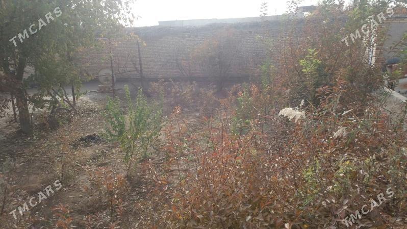 satlyk mellek jay - Туркменабат - img 9