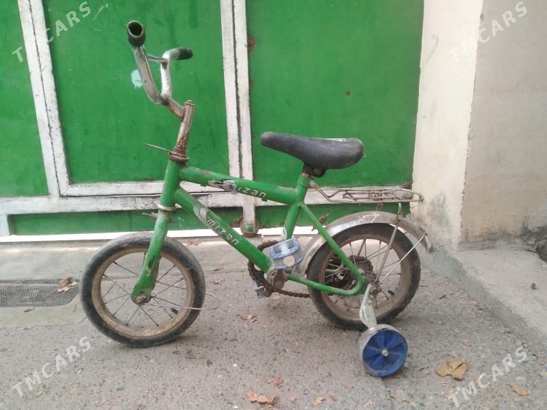 tigir kici zapcas caga welik - Bedew - img 2