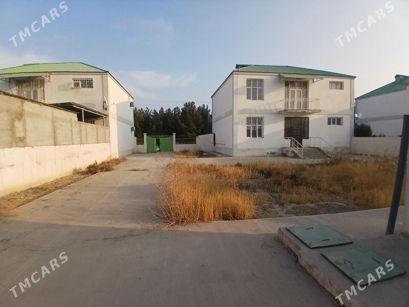 satlyk katej - Гёкдепе - img 3