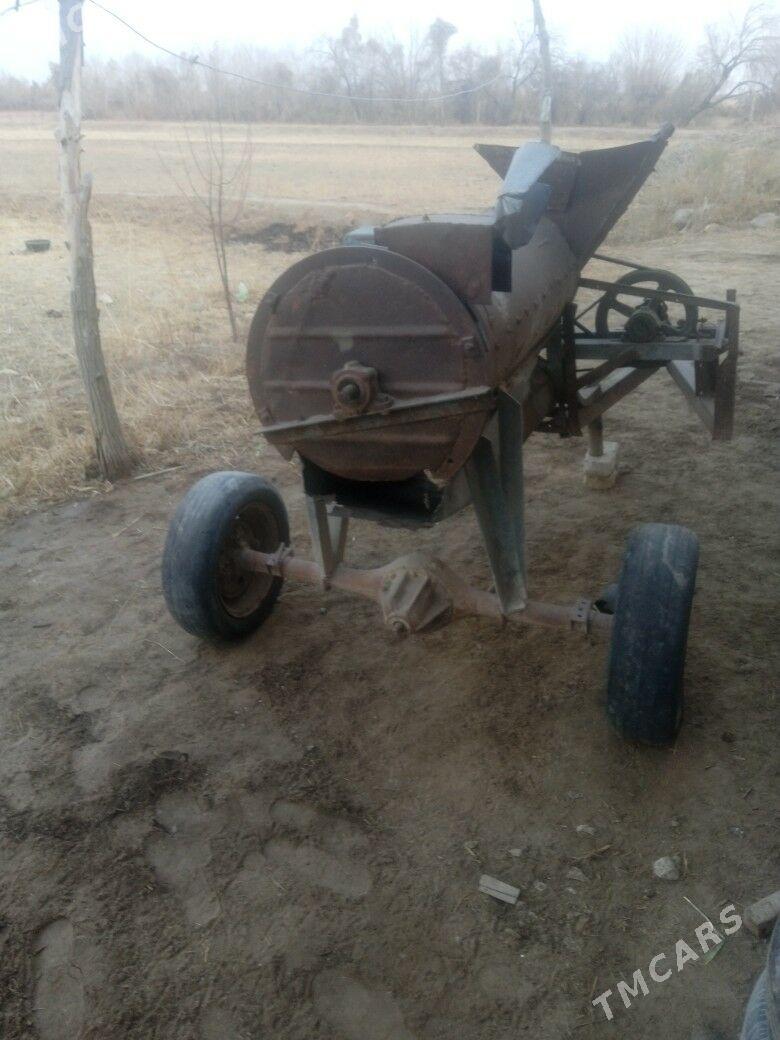 Jowen dowyen - Boldumsaz - img 5