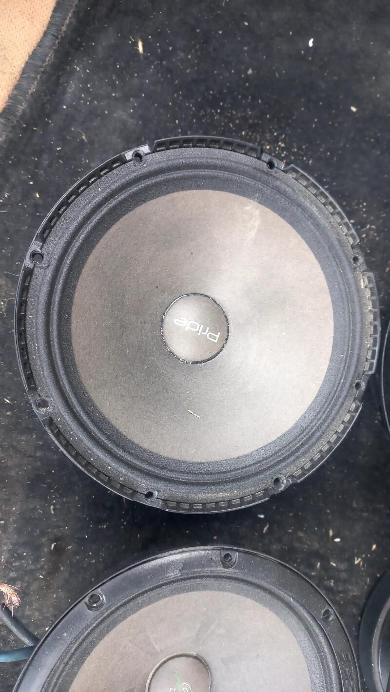 Pride kalonka 1 500 TMT - Багир - img 5