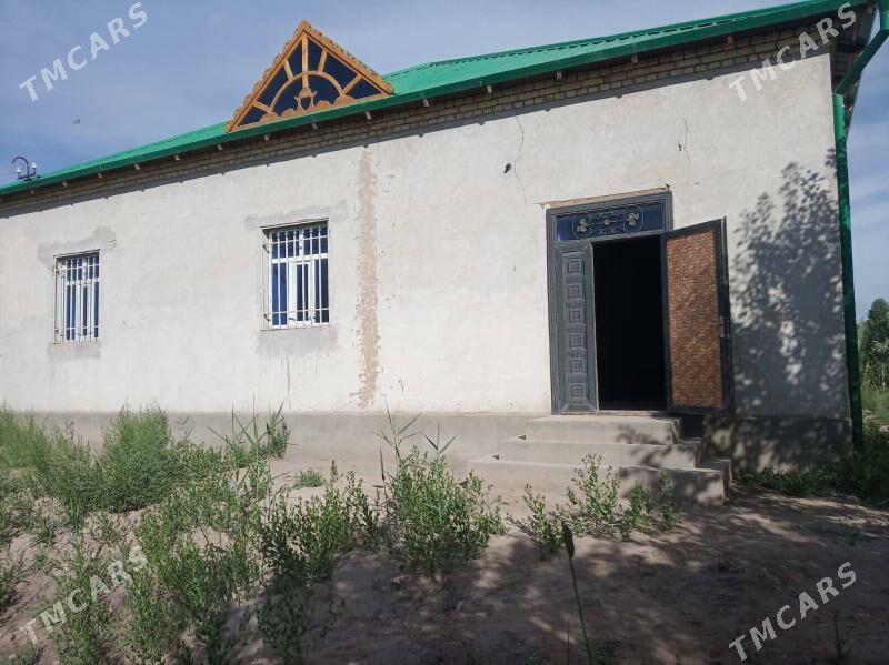 Panahan yasayys jay - Daşoguz - img 1