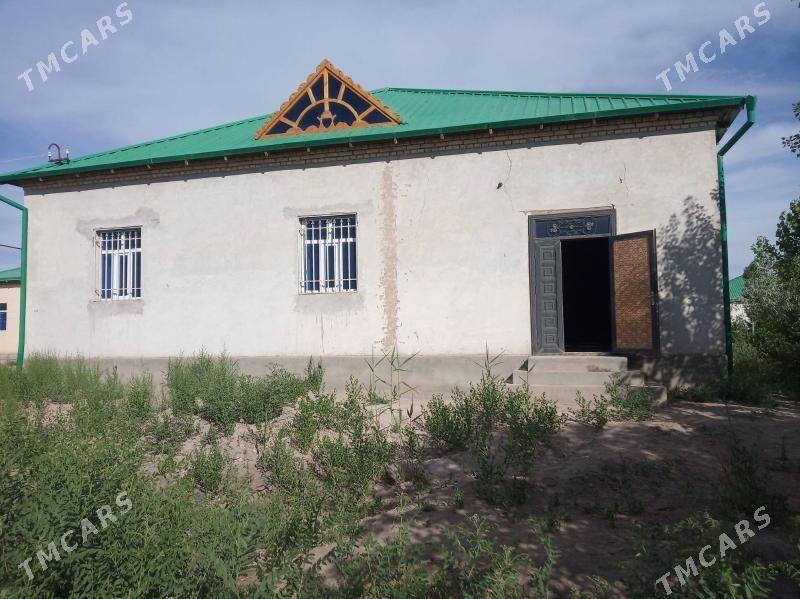 Panahan yasayys jay - Daşoguz - img 2