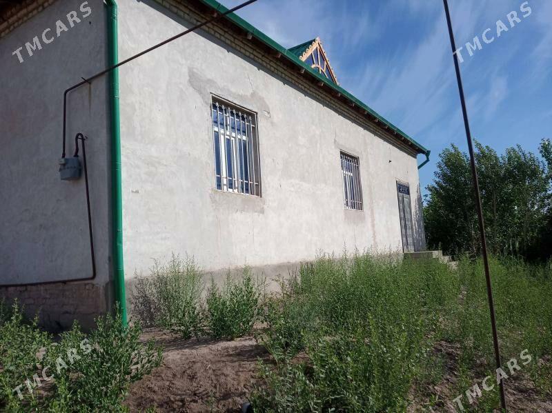 Panahan yasayys jay - Daşoguz - img 4