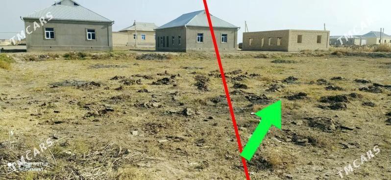 SATLYK JAÝ - Baýramaly - img 3