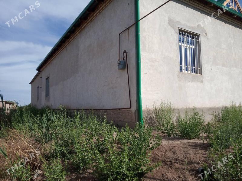 Panahan yasayys jay - Daşoguz - img 3