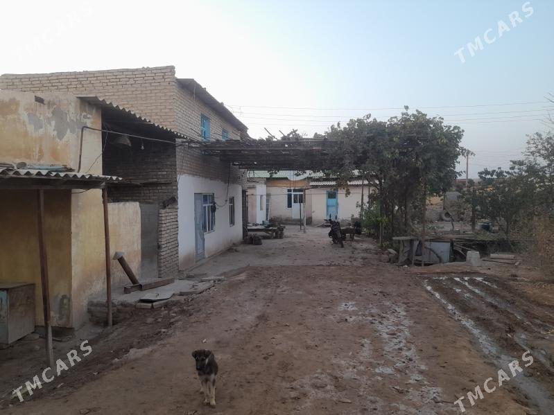 SATLYK JAŸ Oguz han - Огуз хан - img 3