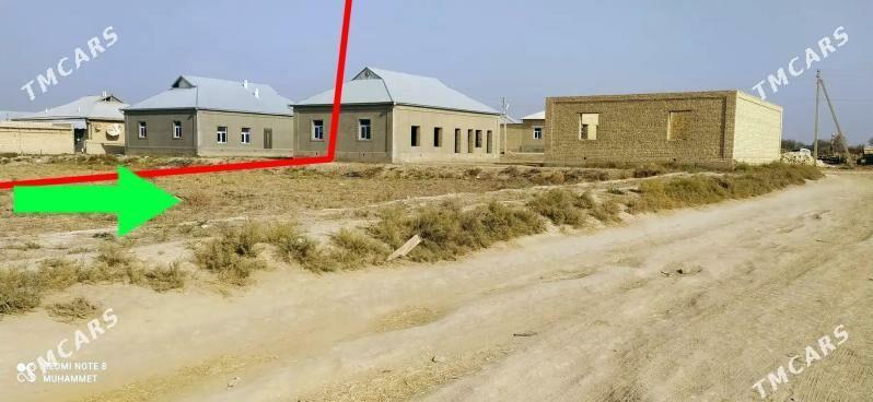 SATLYK JAÝ - Baýramaly - img 6