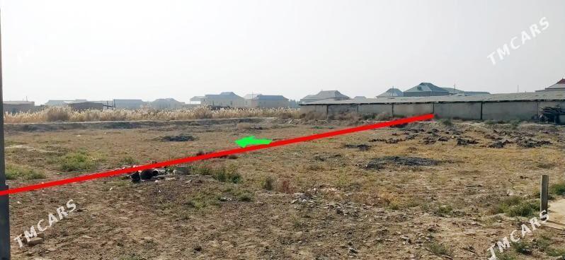 SATLYK JAÝ - Baýramaly - img 5