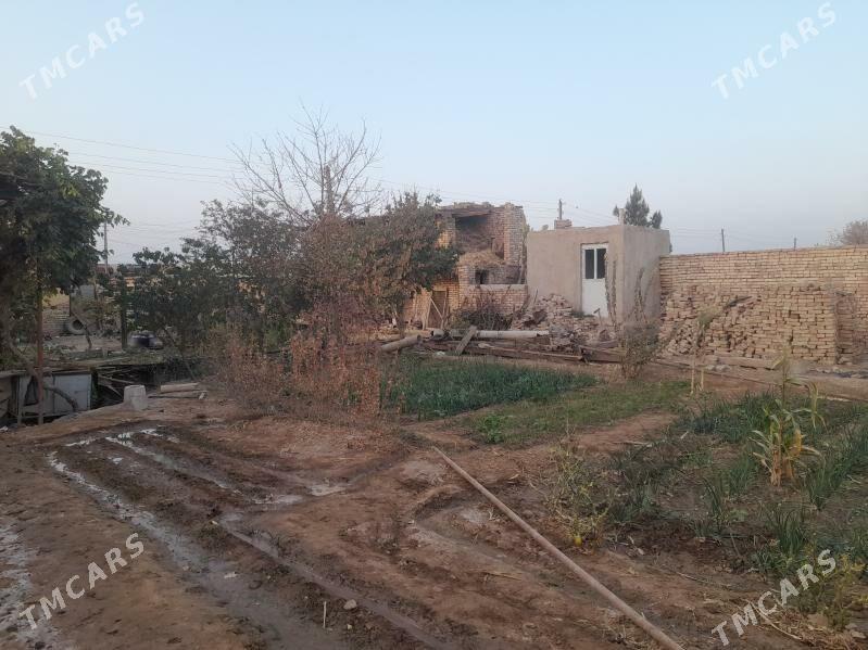 SATLYK JAŸ Oguz han - Огуз хан - img 5