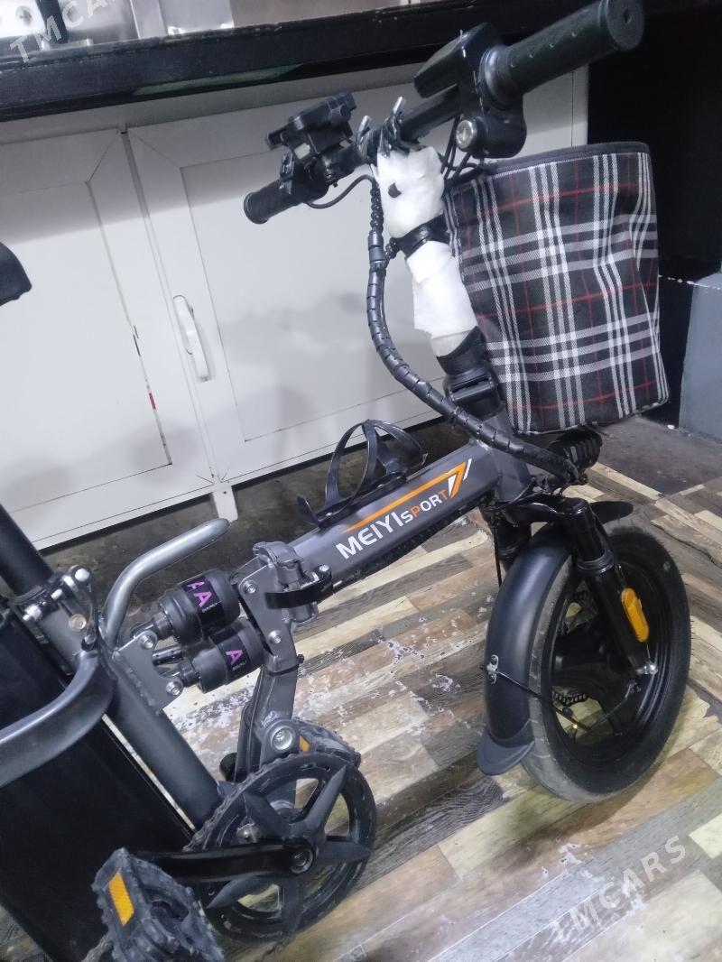 tigir - Gurtly - img 4