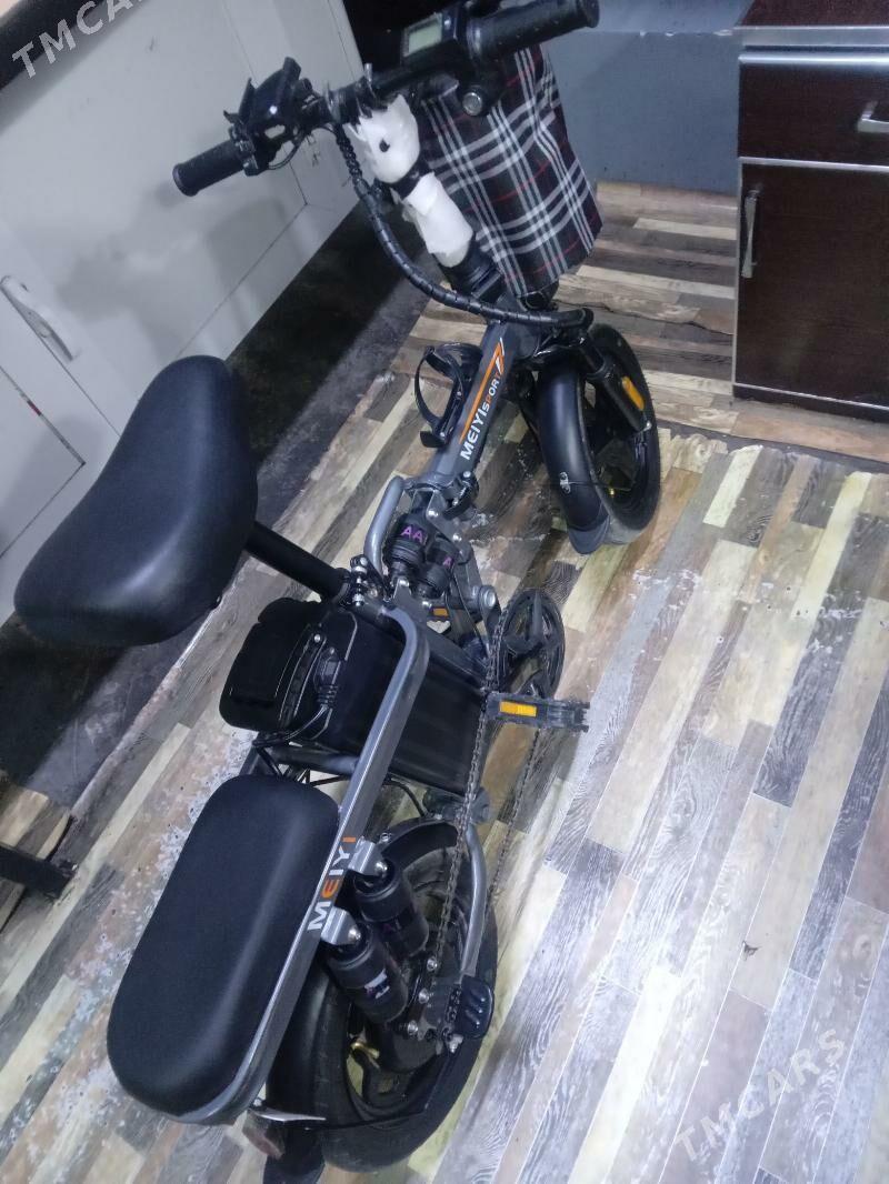 tigir - Gurtly - img 3