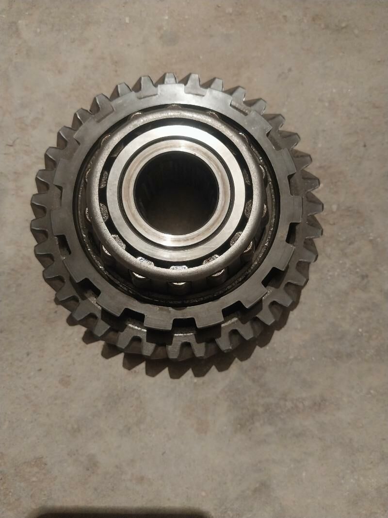 karopgan dişi 300 TMT - Jebel - img 4