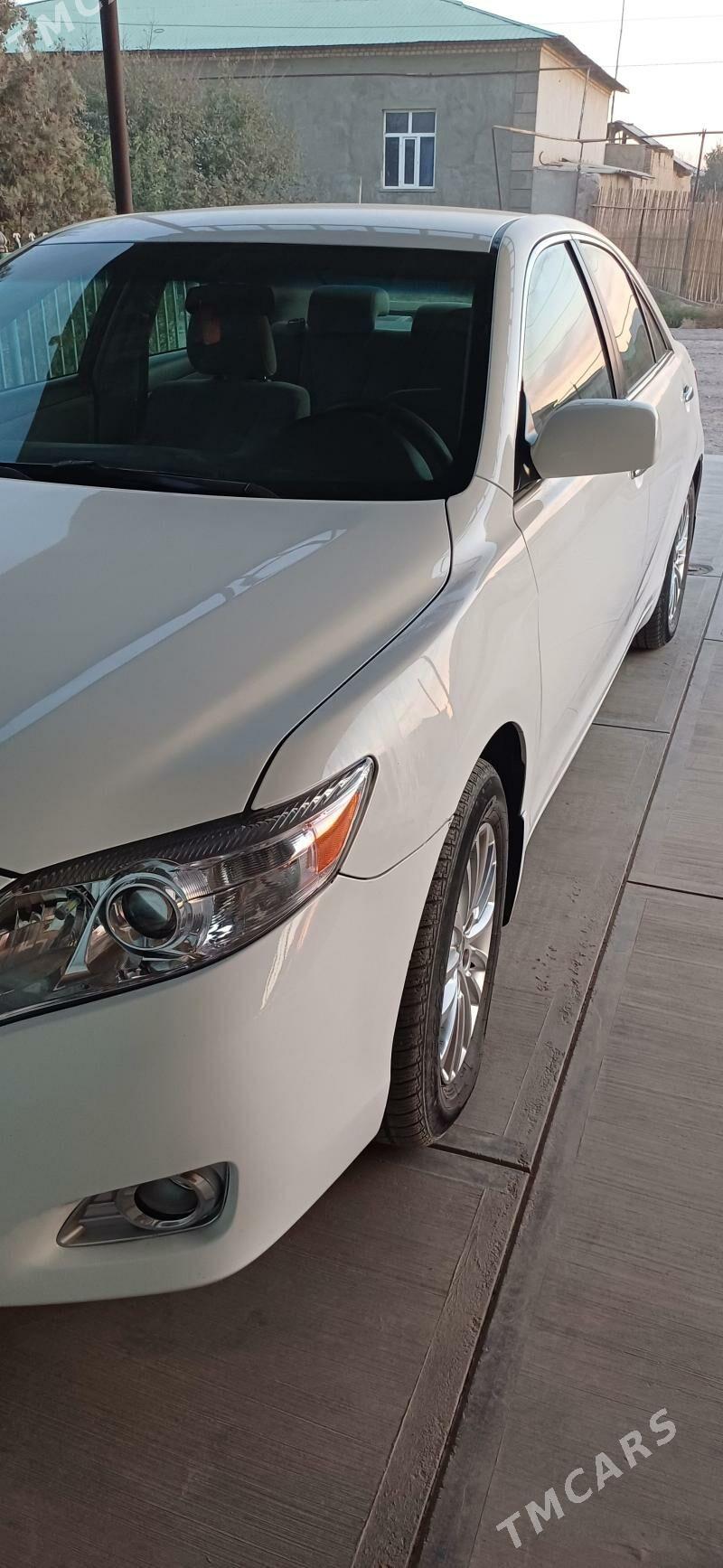 Toyota Camry 2010 - 240 000 TMT - Daşoguz - img 3