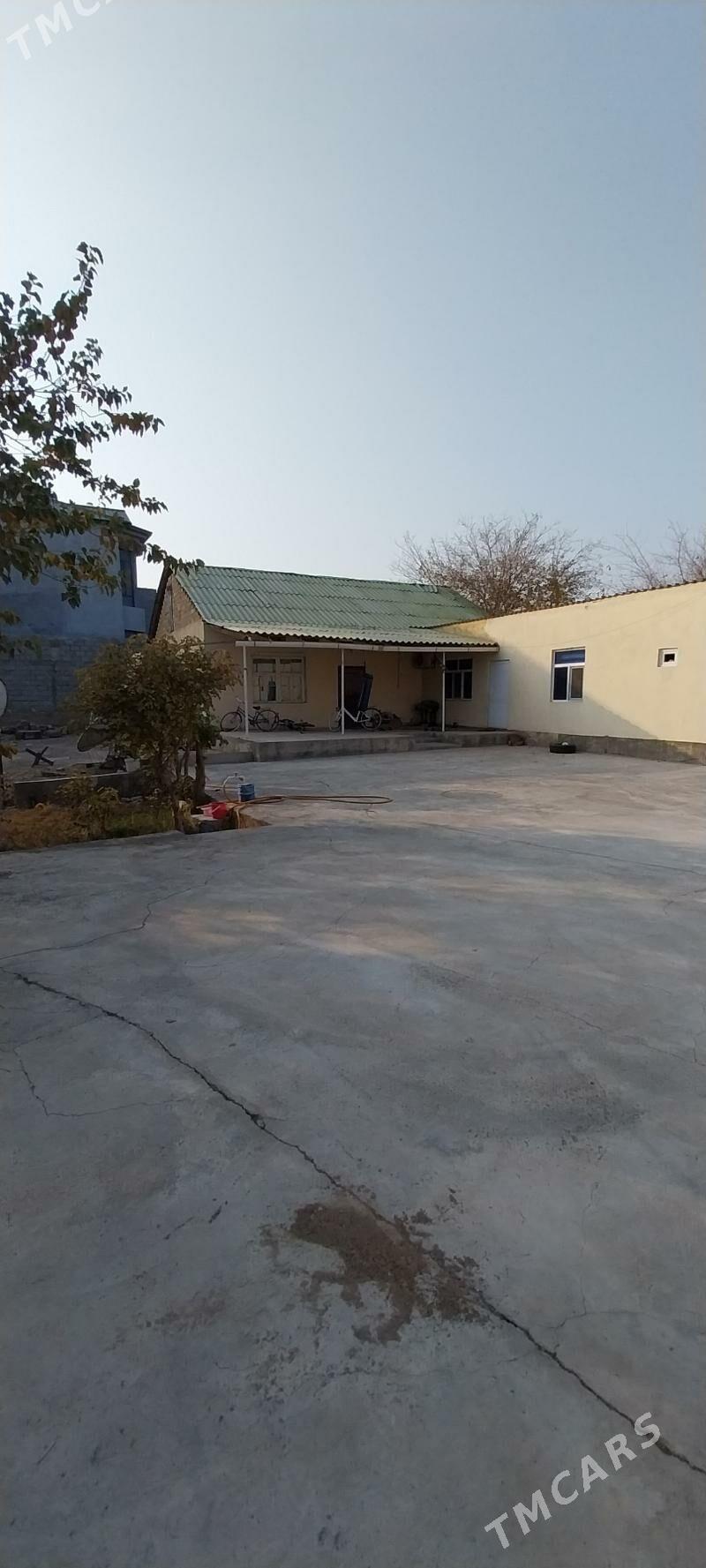 Çoganly 2-nji siltafor sag gap - Çoganly - img 2