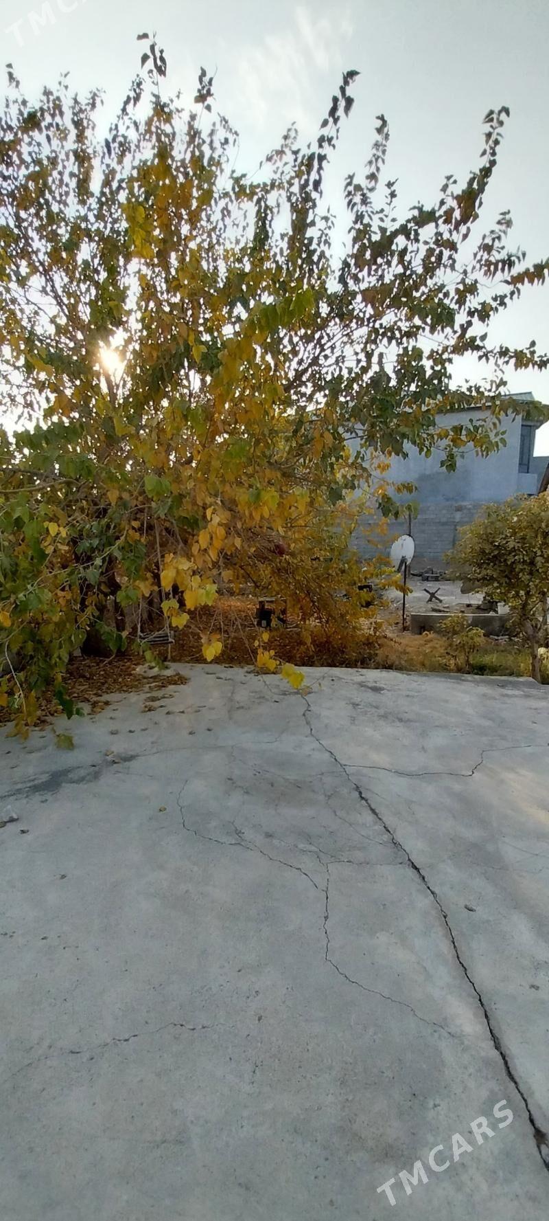 Çoganly 2-nji siltafor sag gap - Çoganly - img 3