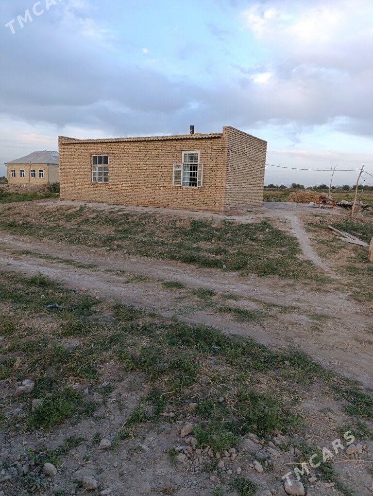 Satlyk jay - Baýramaly - img 3