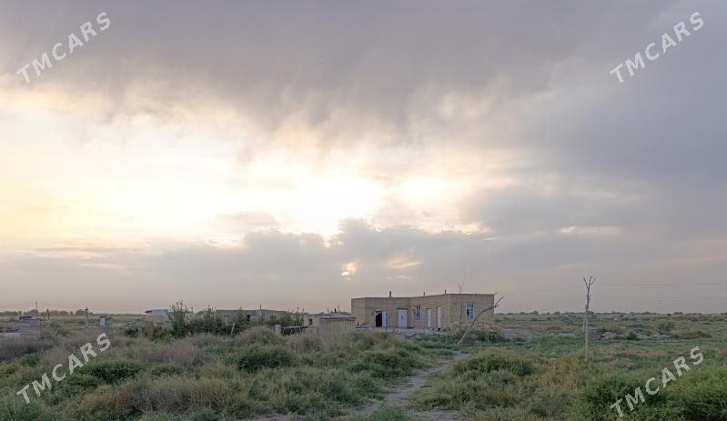 Satlyk jay - Baýramaly - img 1