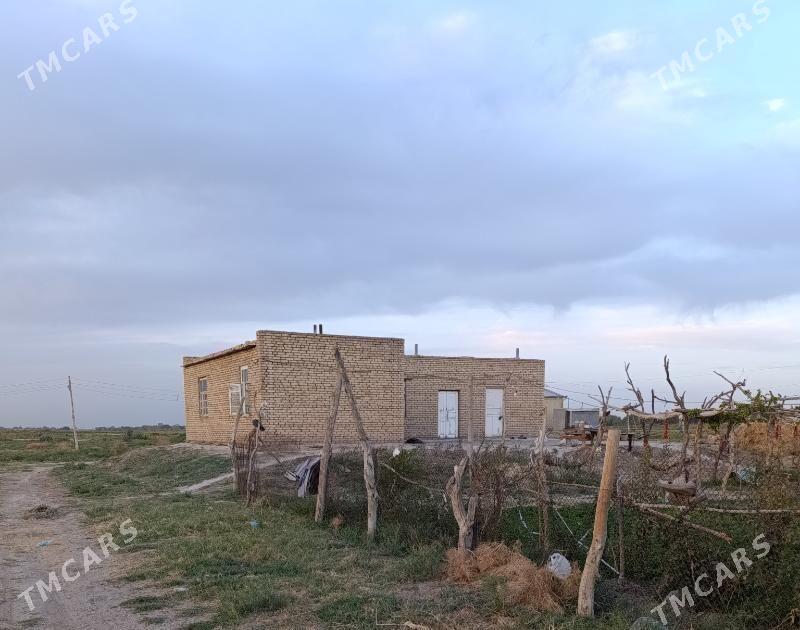 Satlyk jay - Baýramaly - img 2