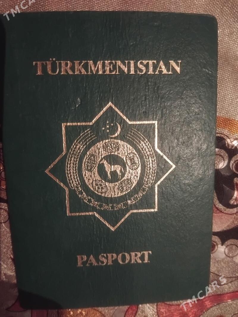 passport yitdi andreyda - Şabat etr. - img 2