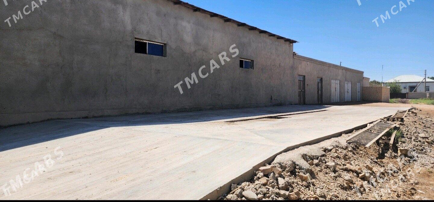 Moyka - Görogly (Tagta) - img 3