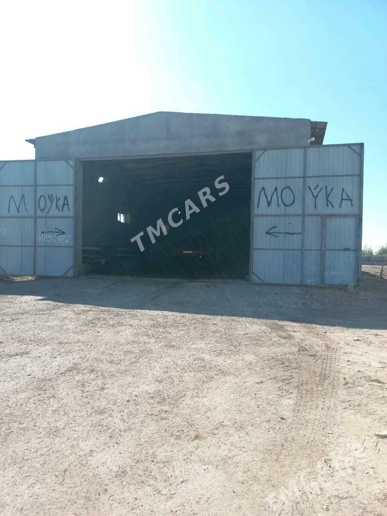 Moyka - Görogly (Tagta) - img 2