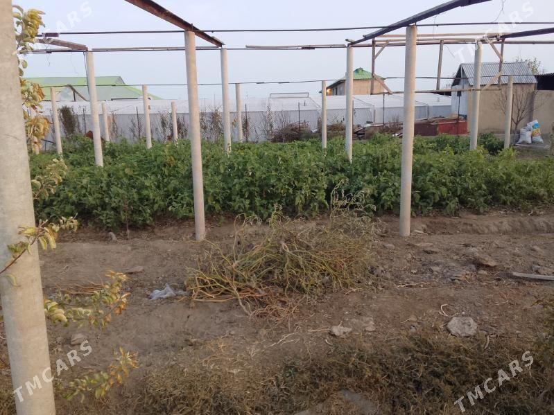 azbes turba - Aşgabat - img 2