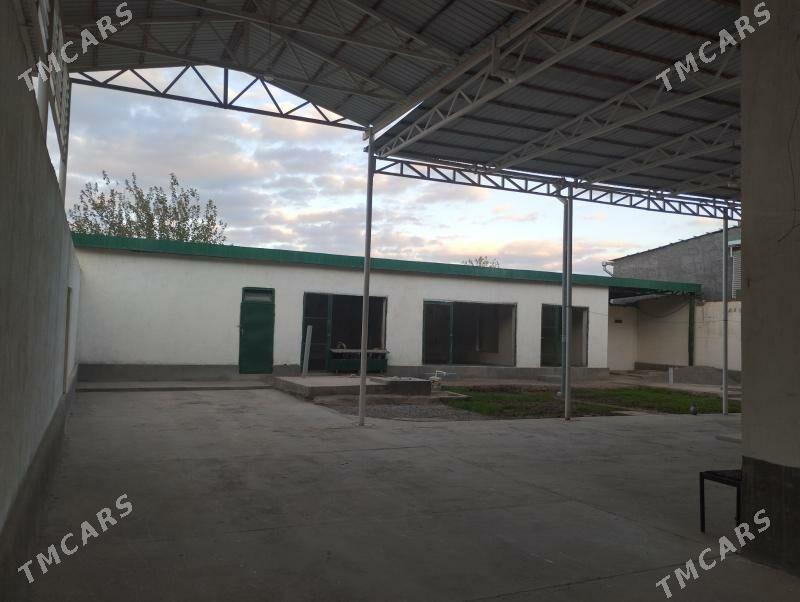 Katež jaý - Tejen - img 3