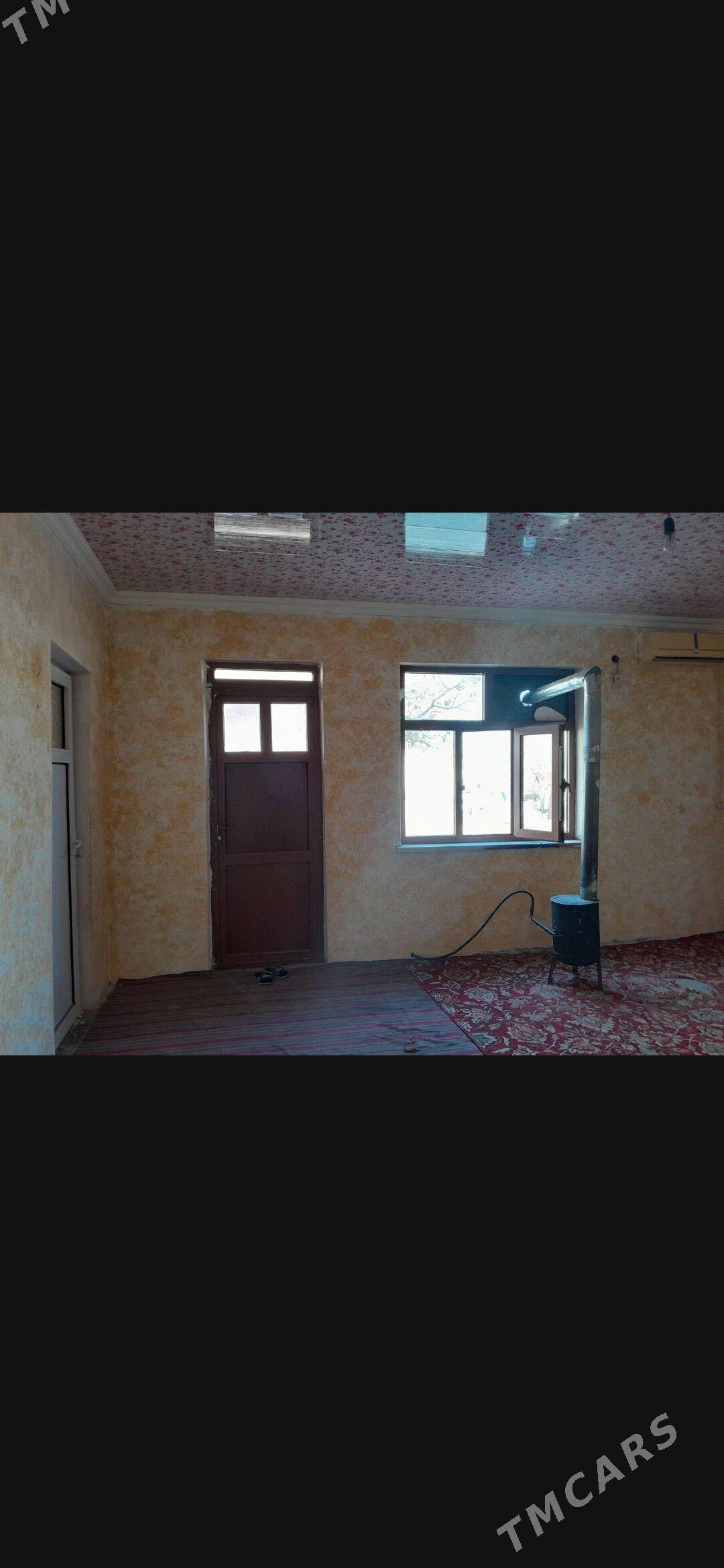 Kvatirant jay - Gurtly - img 1