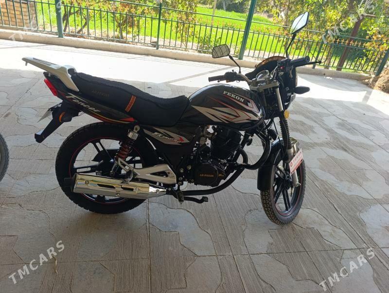 Fekon FK200-14G 2025 - 19 000 TMT - Гарабекевюл - img 3