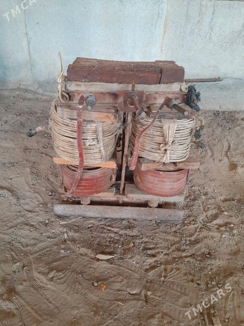 sywarka - Murgap - img 3