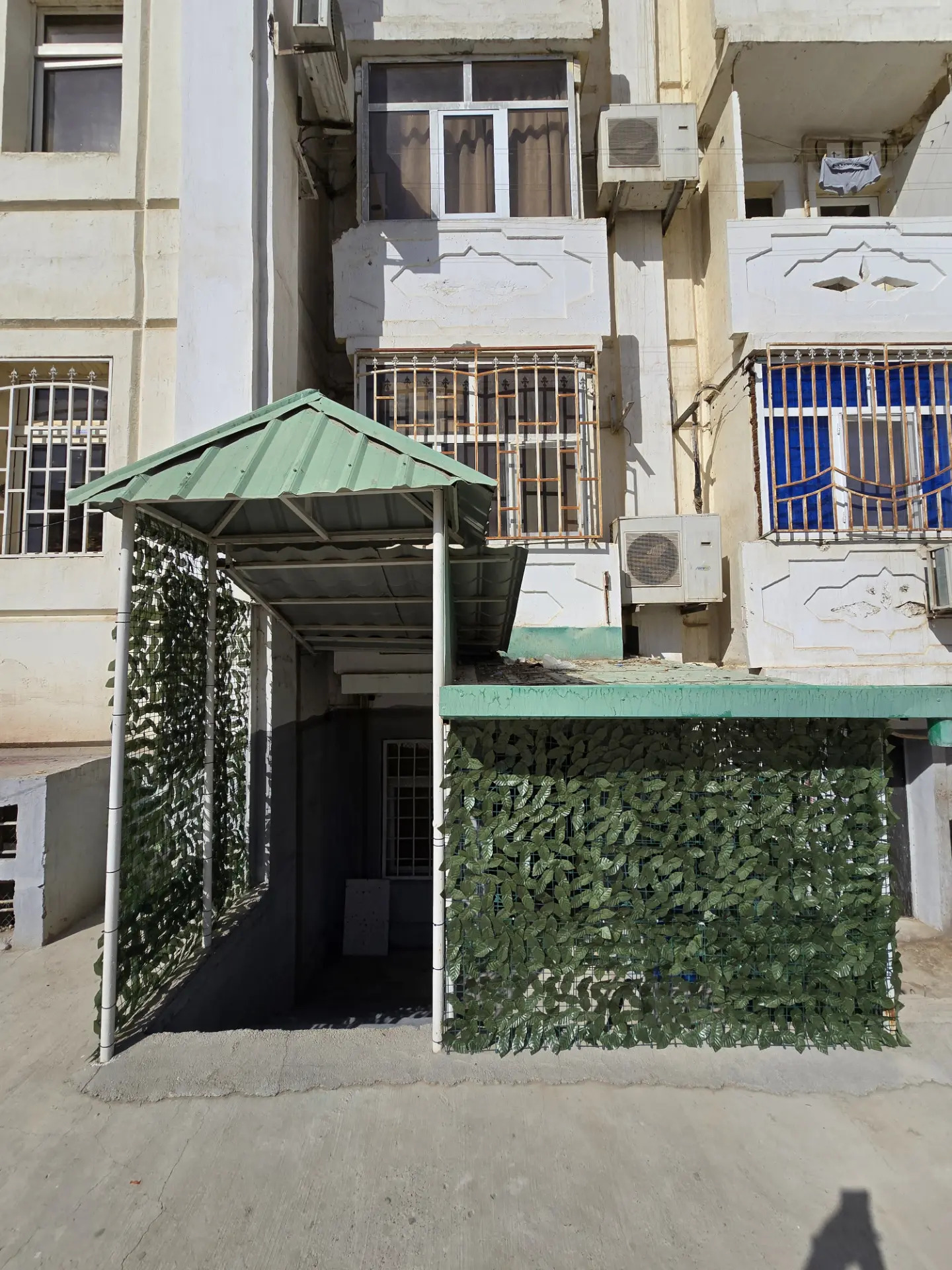 Atelya ucenik alyas satlyk koy - Ашхабад - img 9