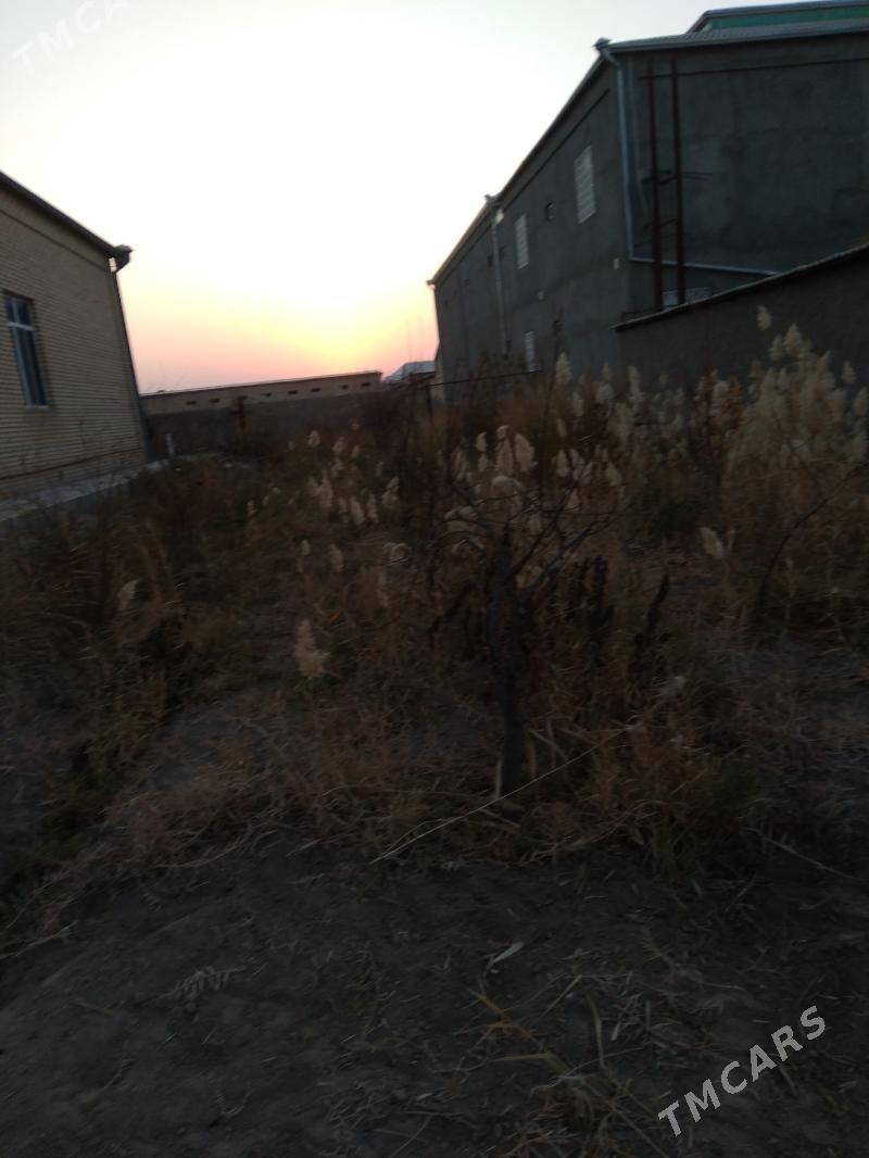 isgar gerek - Мары - img 2