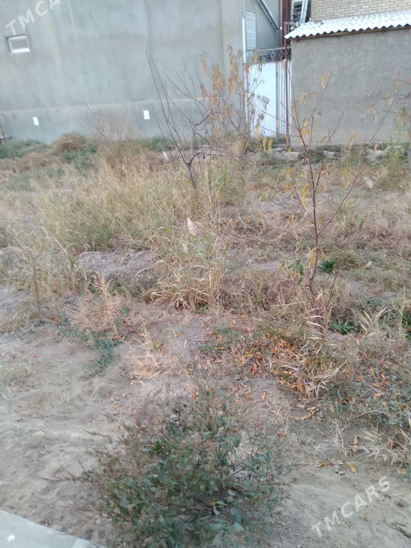 isgar gerek - Мары - img 5