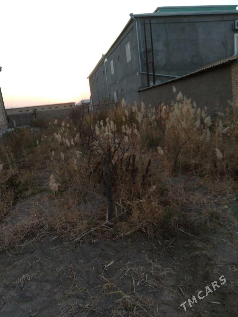 isgar gerek - Мары - img 3