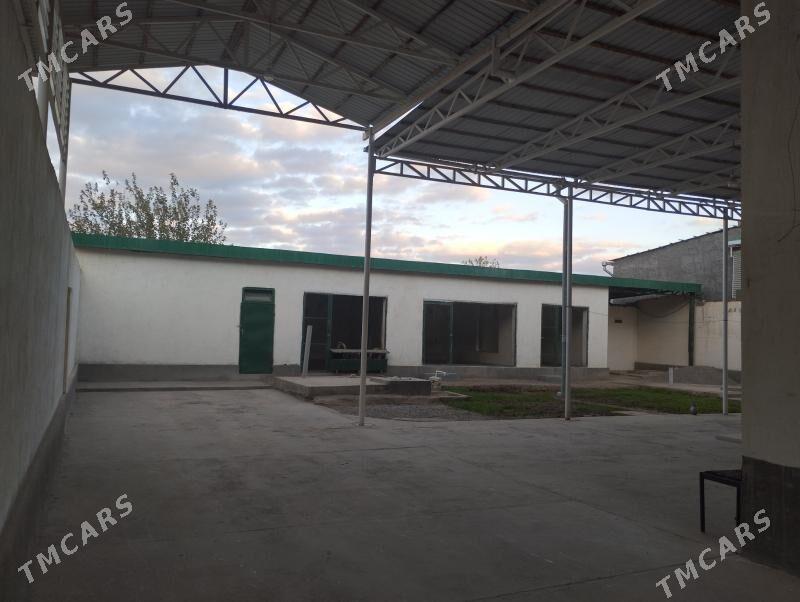 Katež jaý - Tejen - img 4